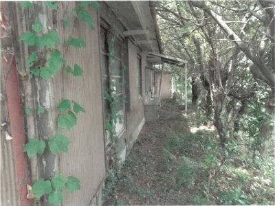 徳島県阿波市 鴨島駅 戸建て 263万円の競売物件情報 #17