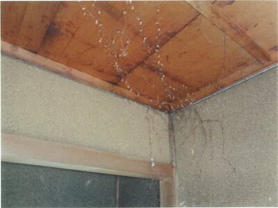 徳島県阿波市 鴨島駅 戸建て 263万円の競売物件情報 #26