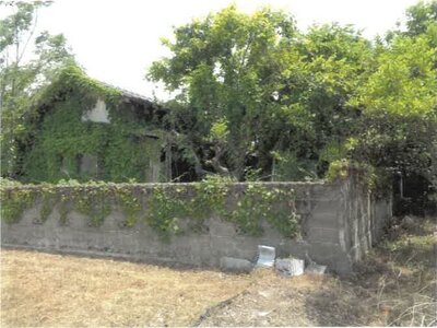 徳島県阿波市 鴨島駅 戸建て 263万円の競売物件情報 #9