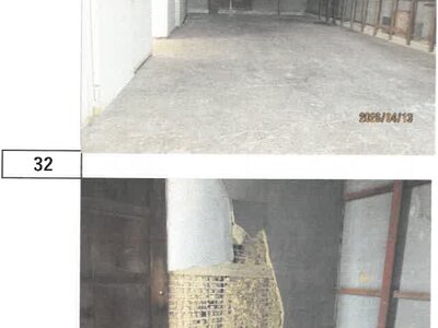 徳島県鳴門市 勝瑞駅15分 戸建て 295万円の競売物件情報 #24