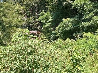 (値下げ) 群馬県吾妻郡長野原町 群馬大津駅4分 土地 52万円の官公庁公売物件情報 #5