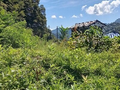 (値下げ) 群馬県吾妻郡長野原町 群馬大津駅4分 土地 52万円の官公庁公売物件情報 #6