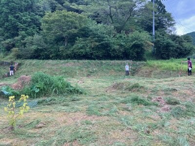 高知県高岡郡四万十町 影野駅9分 農地 5万円の官公庁公売物件情報 #5