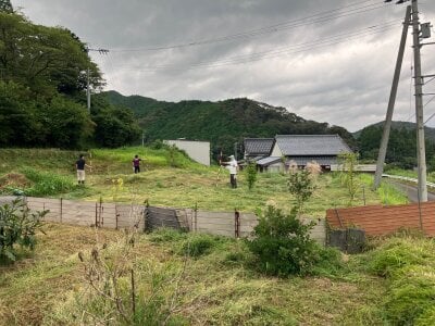 高知県高岡郡四万十町 影野駅9分 農地 5万円の官公庁公売物件情報 #6