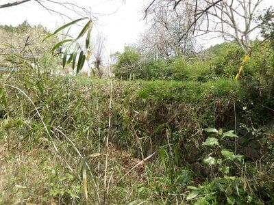 (値下げ) 茨城県久慈郡大子町 下野宮駅 土地 121万円の官公庁公売物件情報 #11