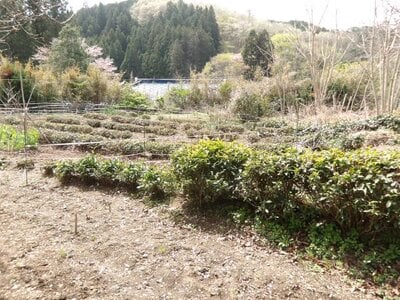(値下げ) 茨城県久慈郡大子町 下野宮駅 土地 121万円の官公庁公売物件情報 #18