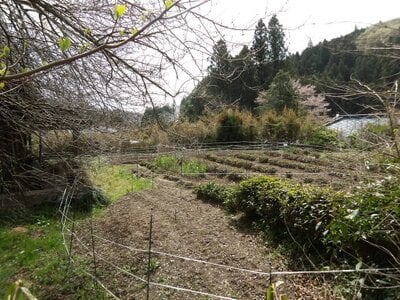 (値下げ) 茨城県久慈郡大子町 下野宮駅 土地 121万円の官公庁公売物件情報 #19