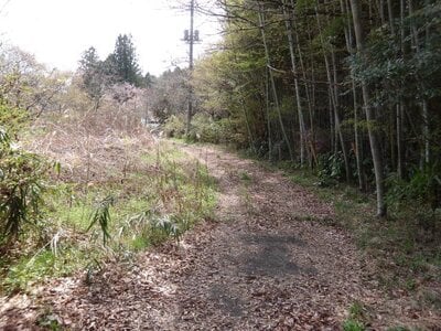 (値下げ) 茨城県久慈郡大子町 下野宮駅 土地 121万円の官公庁公売物件情報 #2