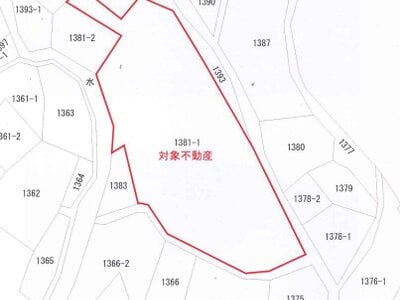 (値下げ) 茨城県久慈郡大子町 下野宮駅 土地 121万円の官公庁公売物件情報 #20