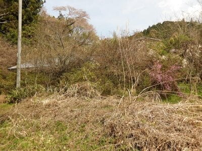 (値下げ) 茨城県久慈郡大子町 下野宮駅 土地 121万円の官公庁公売物件情報 #3