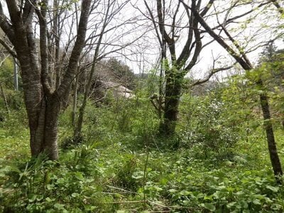 (値下げ) 茨城県久慈郡大子町 下野宮駅 土地 121万円の官公庁公売物件情報 #5