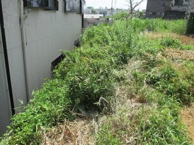 (値下げ) 千葉県千葉市中央区 大森台駅20分 農地 196万円の官公庁公売物件情報 #4