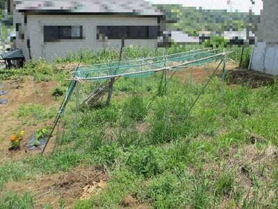 (値下げ) 千葉県千葉市中央区 大森台駅20分 農地 196万円の官公庁公売物件情報 #5