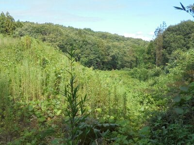 栃木県芳賀郡芳賀町 市塙駅 土地 641万円の官公庁公売物件情報 #2