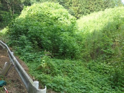 栃木県芳賀郡芳賀町 市塙駅 土地 641万円の官公庁公売物件情報 #5