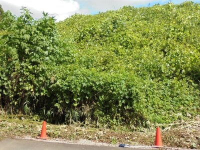 栃木県芳賀郡芳賀町 市塙駅 土地 641万円の官公庁公売物件情報 #6