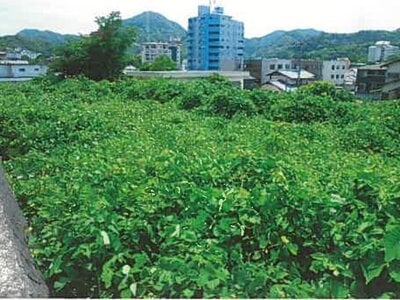 静岡県伊豆の国市 伊豆長岡駅20分 農地 1,239万円の競売物件情報 #2
