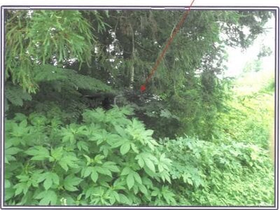 (値下げ) 静岡県富士宮市 戸建て 153万円の競売物件情報 #17