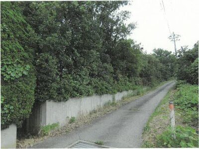 新潟県新潟市西蒲区 越後赤塚駅 土地 63万円の競売物件情報 #2