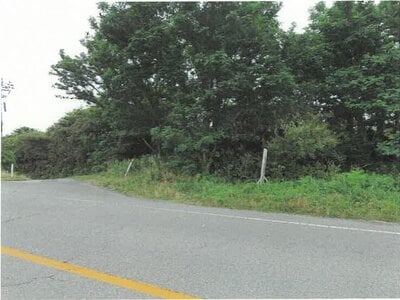 新潟県新潟市西蒲区 越後赤塚駅 土地 63万円の競売物件情報 #3