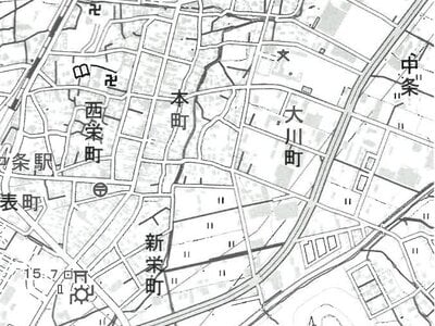 新潟県胎内市 中条駅11分 戸建て 139万円の競売物件情報 #8