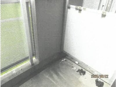 徳島県徳島市 徳島駅21分 戸建て 8,112万円の競売物件情報 #21