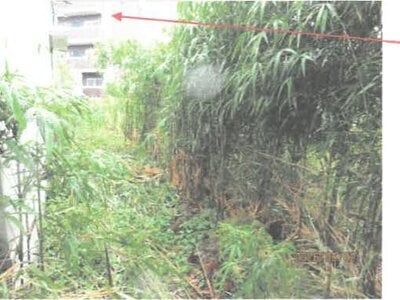 徳島県徳島市 徳島駅21分 戸建て 8,112万円の競売物件情報 #28