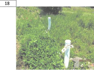 徳島県阿波市 麻植塚駅 戸建て 373万円の競売物件情報 #14