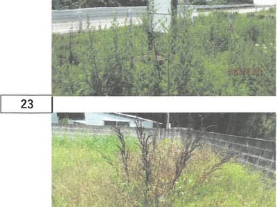 徳島県阿波市 麻植塚駅 戸建て 373万円の競売物件情報 #17