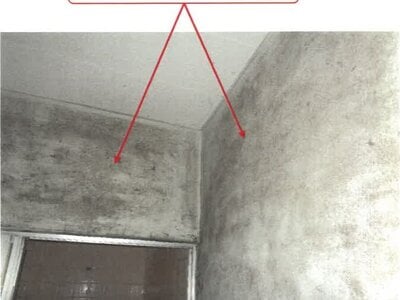 (値下げ) 徳島県徳島市 蔵本駅11分 戸建て 359万円の競売物件情報 #12