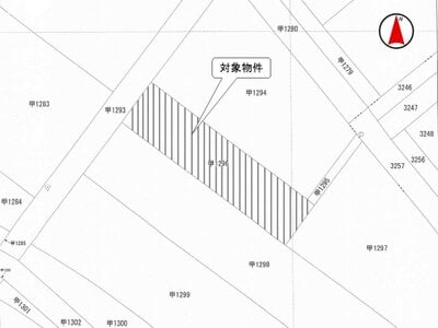 (値下げ) 新潟県三条市 帯織駅 農地 8万円の国税庁公売物件情報 #2