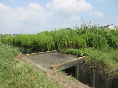 (値下げ) 埼玉県幸手市 幸手駅30分 農地 17万円の国税庁公売物件情報 #2