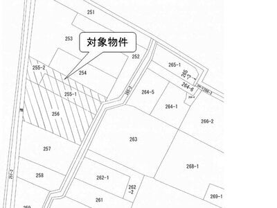 (値下げ) 埼玉県幸手市 幸手駅30分 農地 17万円の国税庁公売物件情報 #3