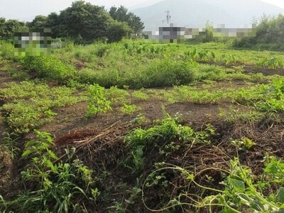 (値下げ) 長野県伊那市 伊那市駅29分 農地 28万円の国税庁公売物件情報 #2