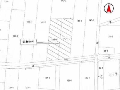 (値下げ) 群馬県伊勢崎市 神保原駅 農地 34万円の国税庁公売物件情報 #3