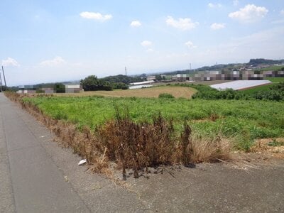 (値下げ) 群馬県伊勢崎市 膳駅28分 農地 41万円の国税庁公売物件情報 #2