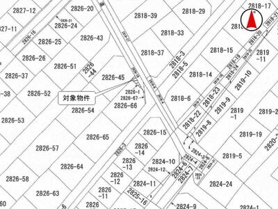 埼玉県新座市 保谷駅26分 土地 46万円の国税庁公売物件情報 #3