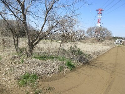 埼玉県新座市 保谷駅 農地 67万円の国税庁公売物件情報 #2