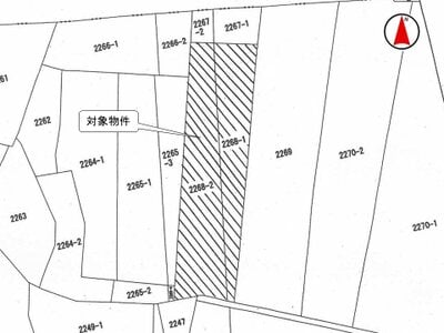 埼玉県新座市 保谷駅 農地 67万円の国税庁公売物件情報 #3