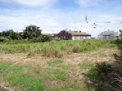 新潟県新潟市江南区 亀田駅 農地 74万円の国税庁公売物件情報 #2