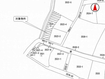 埼玉県新座市 保谷駅 農地 120万円の国税庁公売物件情報 #3