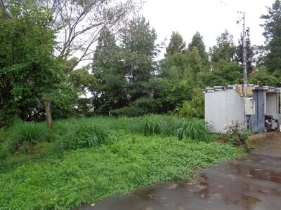 (値下げ) 新潟県上越市 南高田駅8分 農地 127万円の国税庁公売物件情報 #2