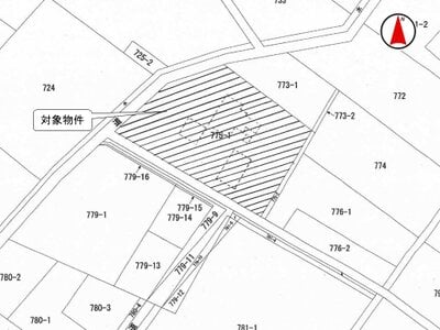 (値下げ) 埼玉県加須市 柳生駅 土地 355万円の国税庁公売物件情報 #3