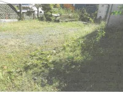 神奈川県愛甲郡清川村 阿夫利神社駅 土地 158万円の競売物件情報 #2