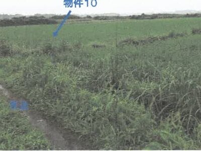 鹿児島県曽於郡大崎町 志布志駅 農地 169万円の競売物件情報 #6