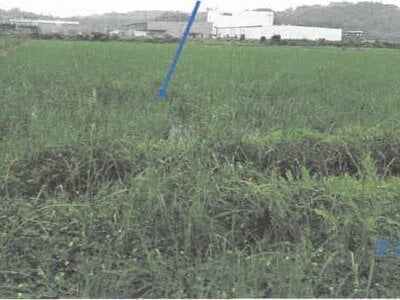 鹿児島県曽於郡大崎町 志布志駅 農地 169万円の競売物件情報 #7