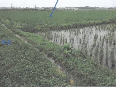 鹿児島県曽於郡大崎町 志布志駅 農地 169万円の競売物件情報 #9