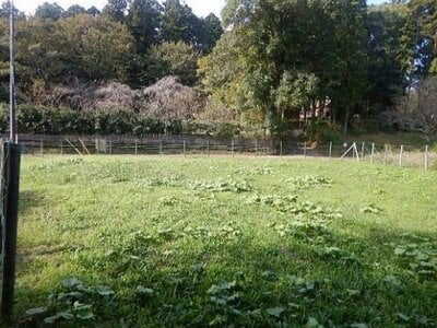 千葉県千葉市若葉区 千城台駅 土地 853万円の国有財産売却物件情報 #3