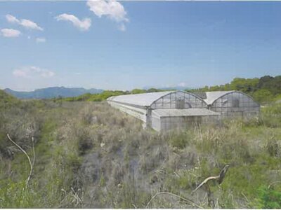 大分県由布市 鬼瀬駅 農地 38万円の競売物件情報 #2