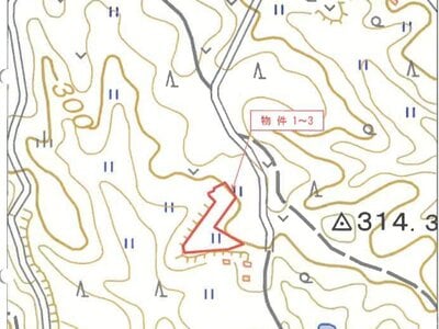 大分県由布市 鬼瀬駅 農地 38万円の競売物件情報 #6